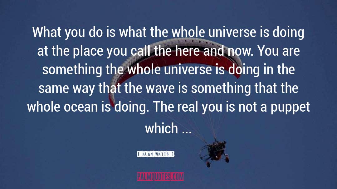 Life Universe Everything quotes by Alan Watts