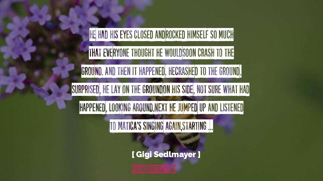 Life Up And Down quotes by Gigi Sedlmayer