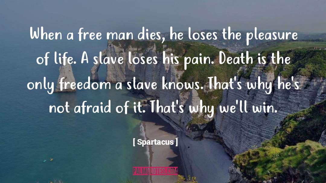 Life Well Lived quotes by Spartacus