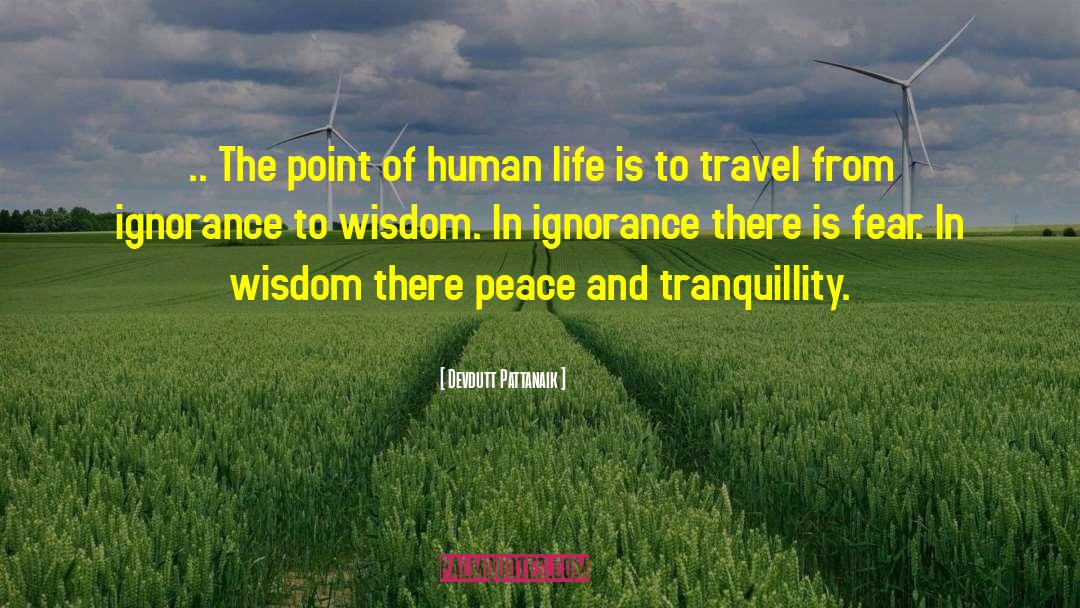 Life Wisdom quotes by Devdutt Pattanaik
