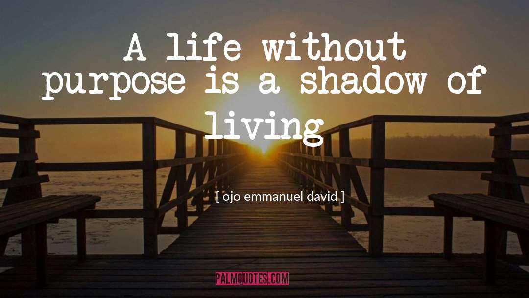 Life Without Purpose quotes by Ojo Emmanuel David
