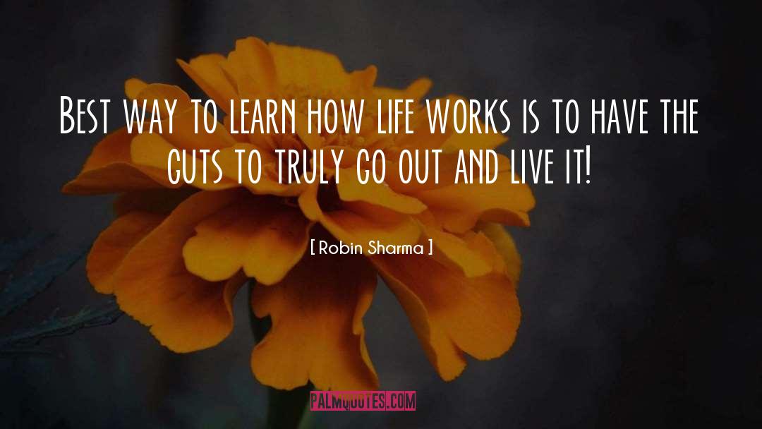 Life Works quotes by Robin Sharma