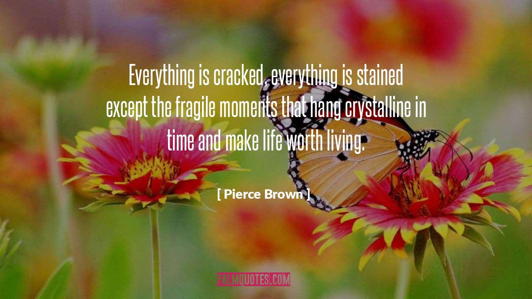 Life Worth Living quotes by Pierce Brown