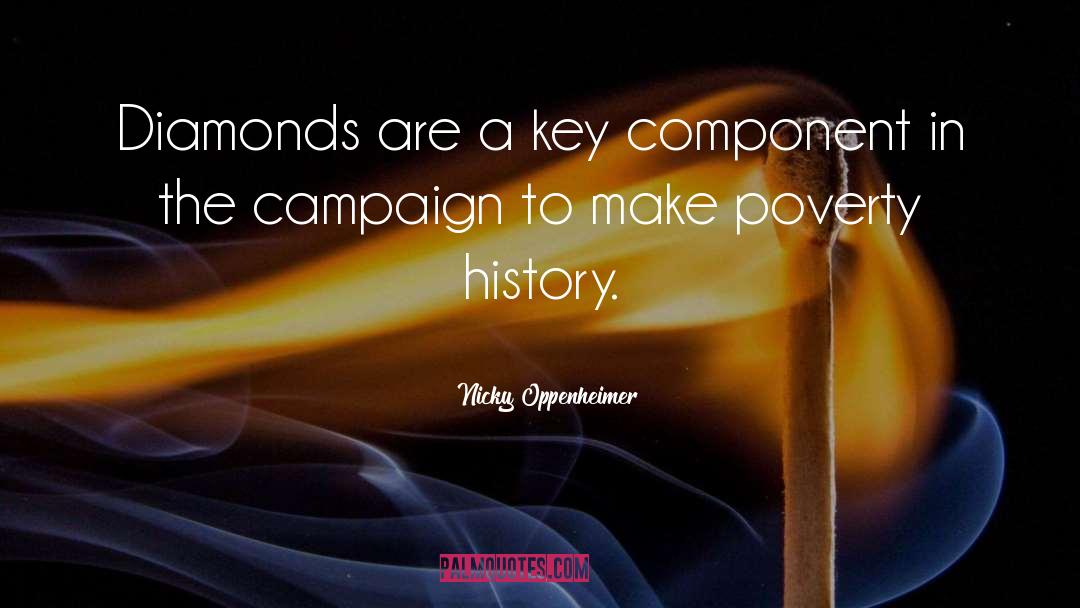 Lifelong Campaign quotes by Nicky Oppenheimer