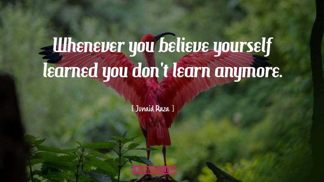 Lifelong Learning quotes by Junaid Raza