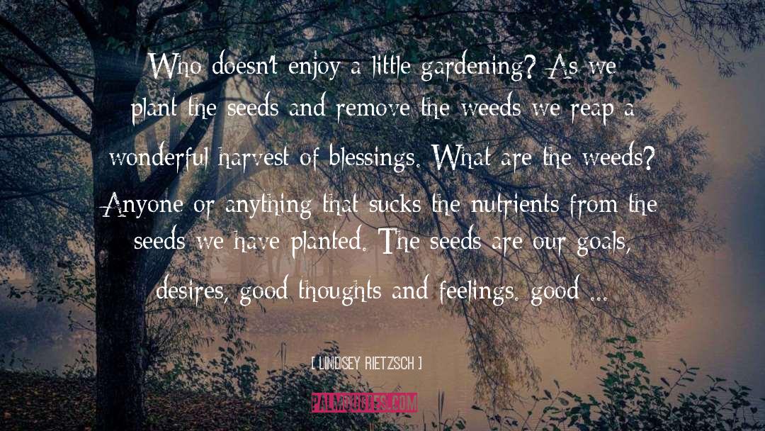 Lifes Little Blessings quotes by Lindsey Rietzsch