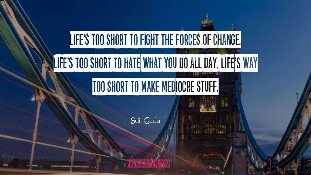 Lifes Too Short quotes by Seth Godin