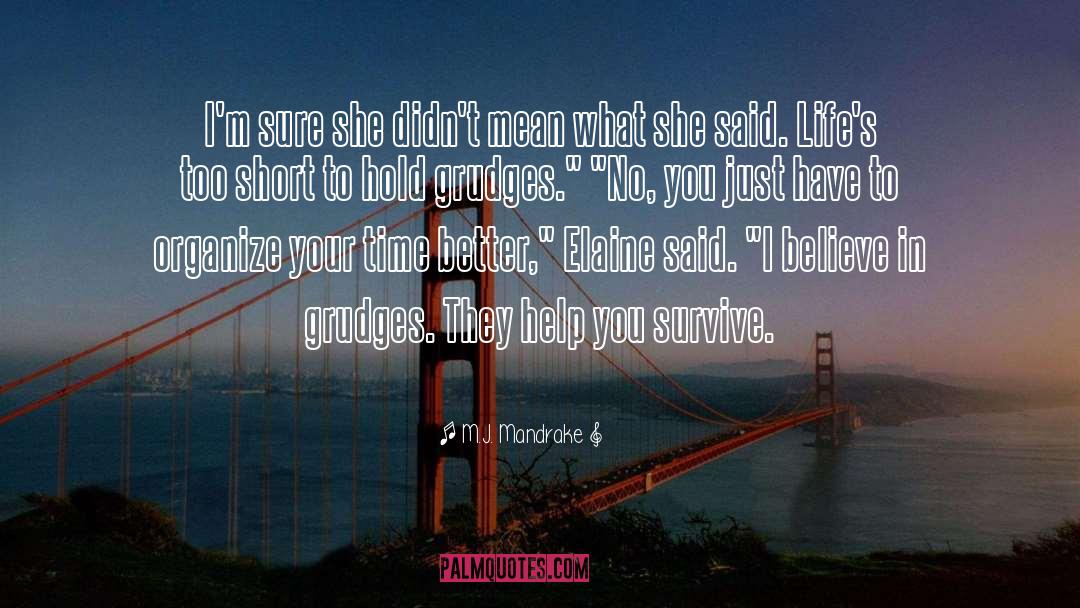 Lifes Too Short To Hold A Grudge quotes by M.J. Mandrake