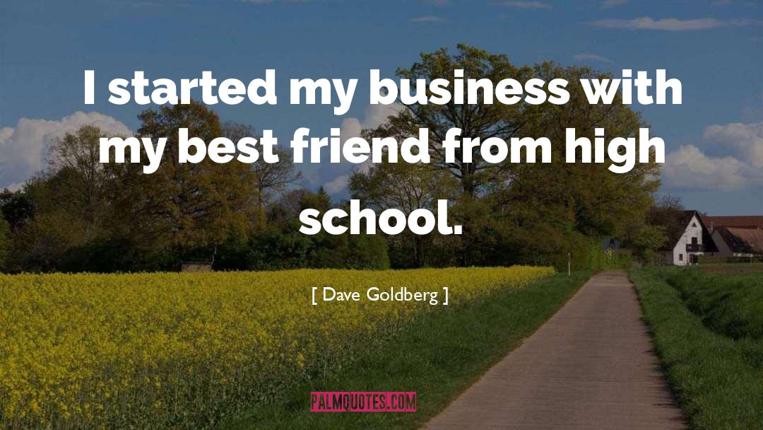 Lifestyle Business quotes by Dave Goldberg