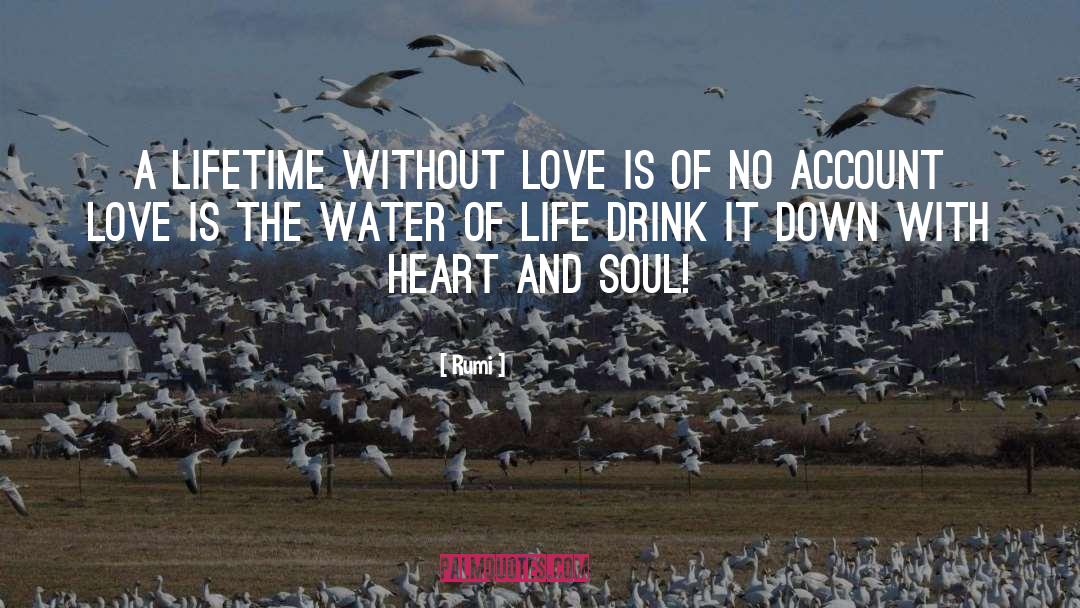 Lifetime Achievement quotes by Rumi