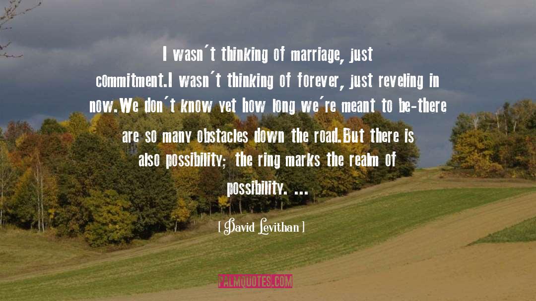 Lifetime Commitment quotes by David Levithan