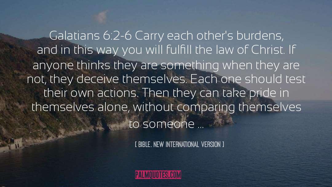 Lift The Burdens Of Others quotes by Bible. New International Version