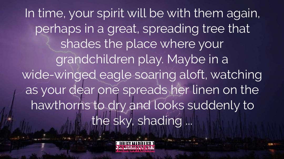 Lift Your Spirit quotes by Juliet Marillier