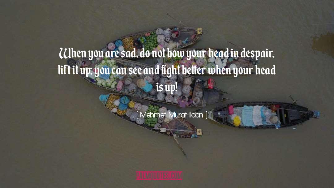 Lift Your Spirits quotes by Mehmet Murat Ildan