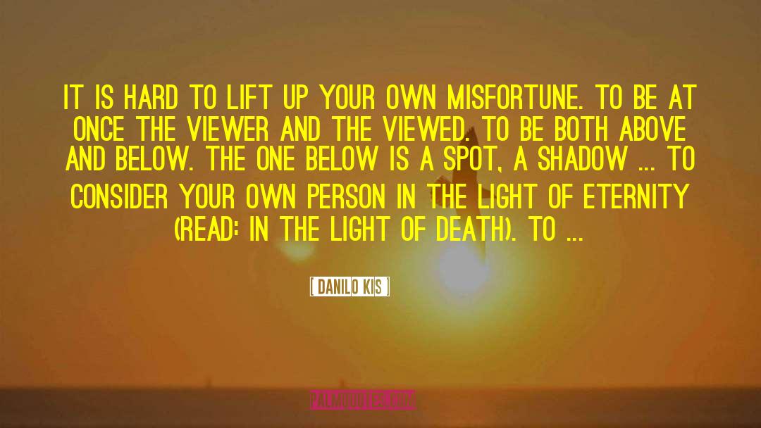 Lift Your Spirits quotes by Danilo Kis