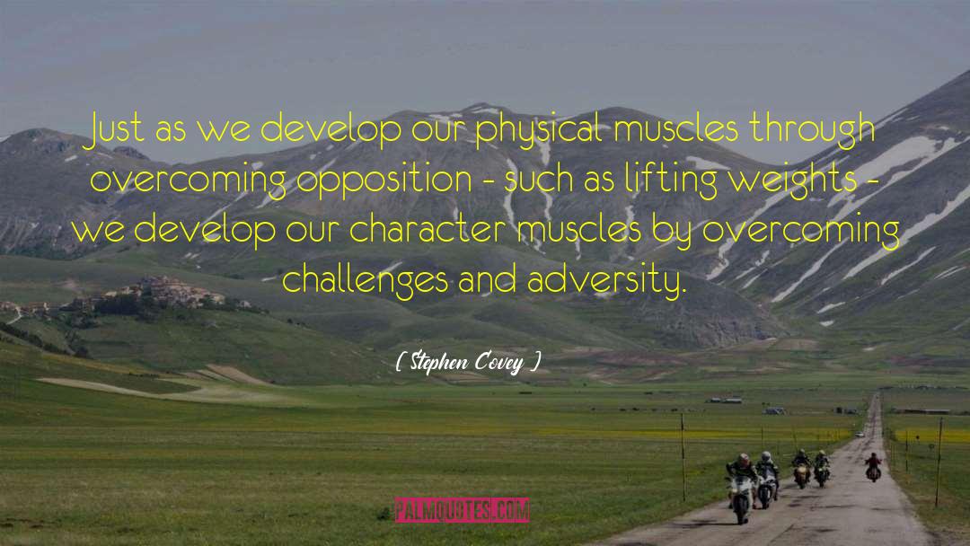 Lifting Weights quotes by Stephen Covey