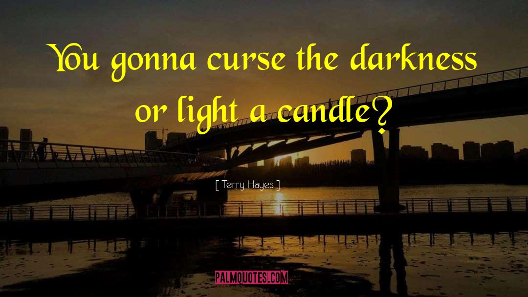Light A Candle quotes by Terry Hayes