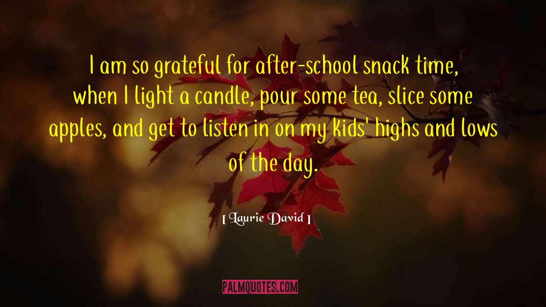 Light A Candle quotes by Laurie David