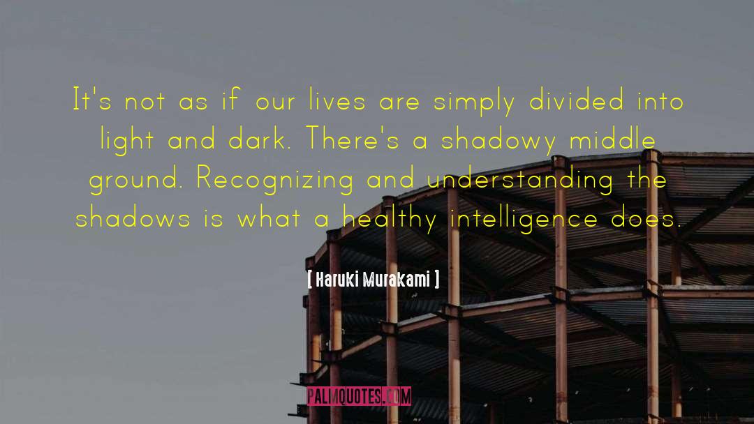 Light And Dark quotes by Haruki Murakami