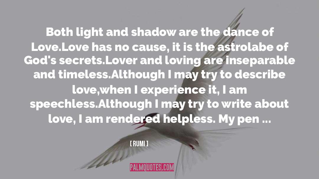 Light And Shadow quotes by Rumi