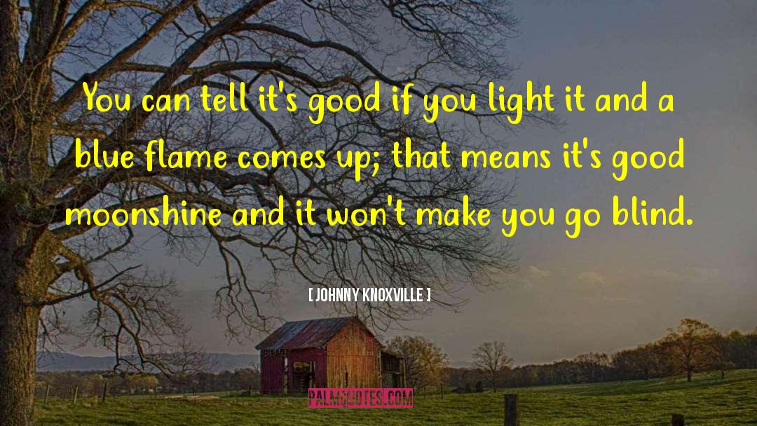 Light Blue quotes by Johnny Knoxville