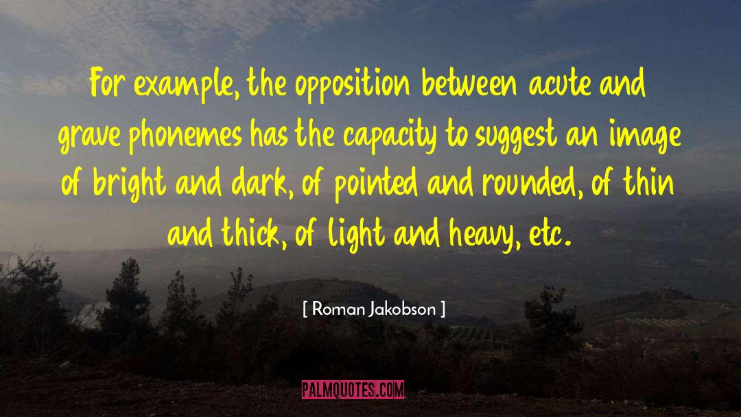 Light Dark quotes by Roman Jakobson