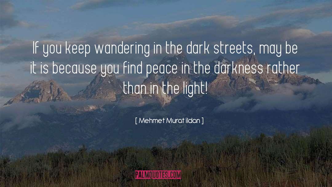 Light Dark quotes by Mehmet Murat Ildan