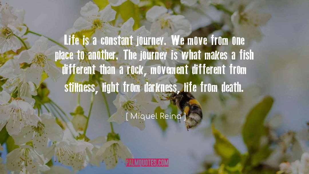 Light From Darkness quotes by Miquel Reina