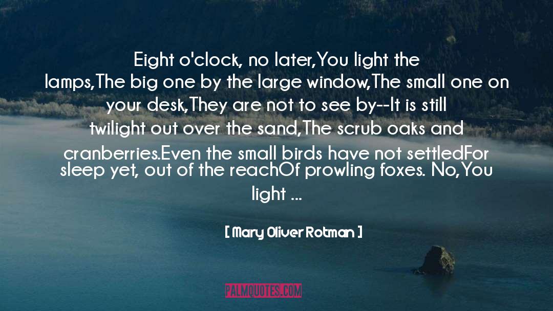 Light In Every Darkness quotes by Mary Oliver Rotman