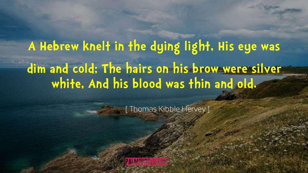 Light In The Shadows quotes by Thomas Kibble Hervey