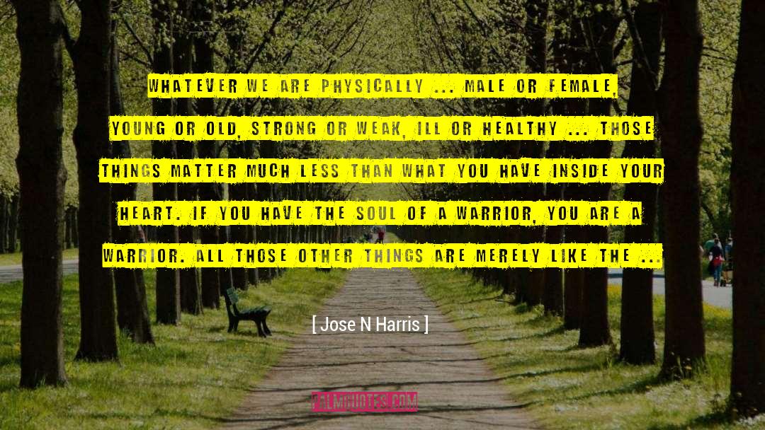Light Inside quotes by Jose N Harris