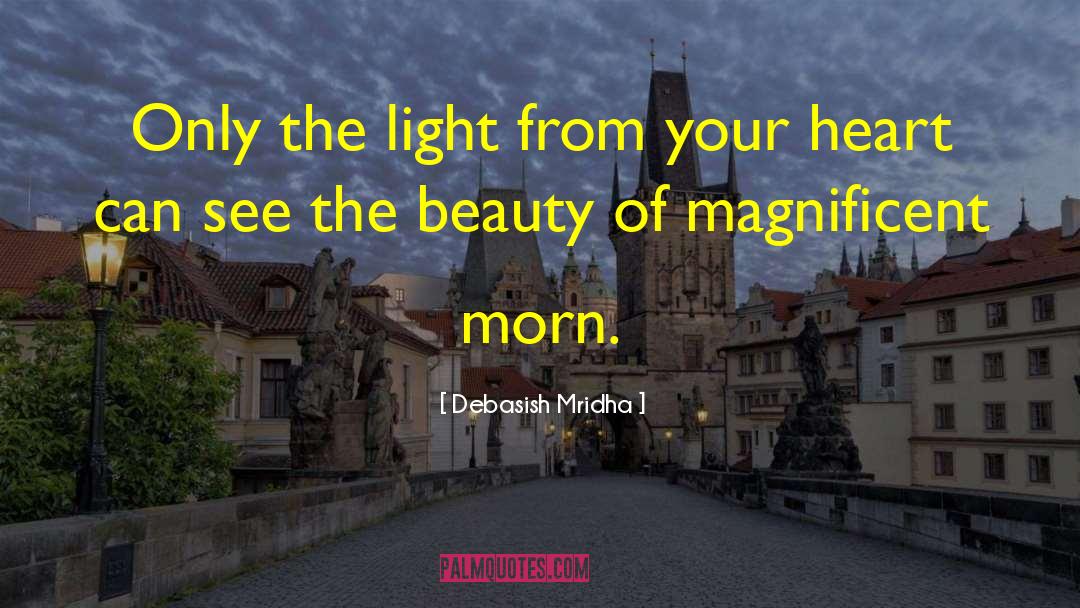 Light Matters quotes by Debasish Mridha