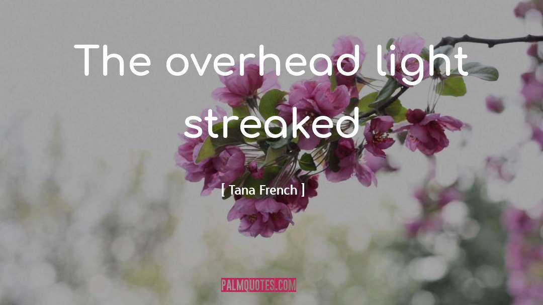 Light Matters quotes by Tana French