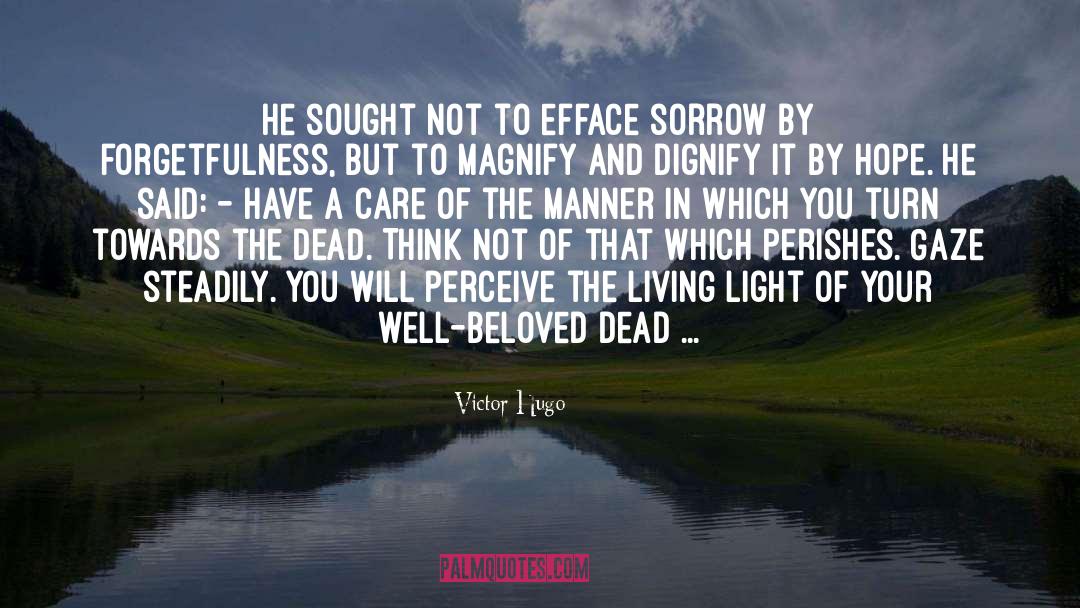 Light Matters quotes by Victor Hugo