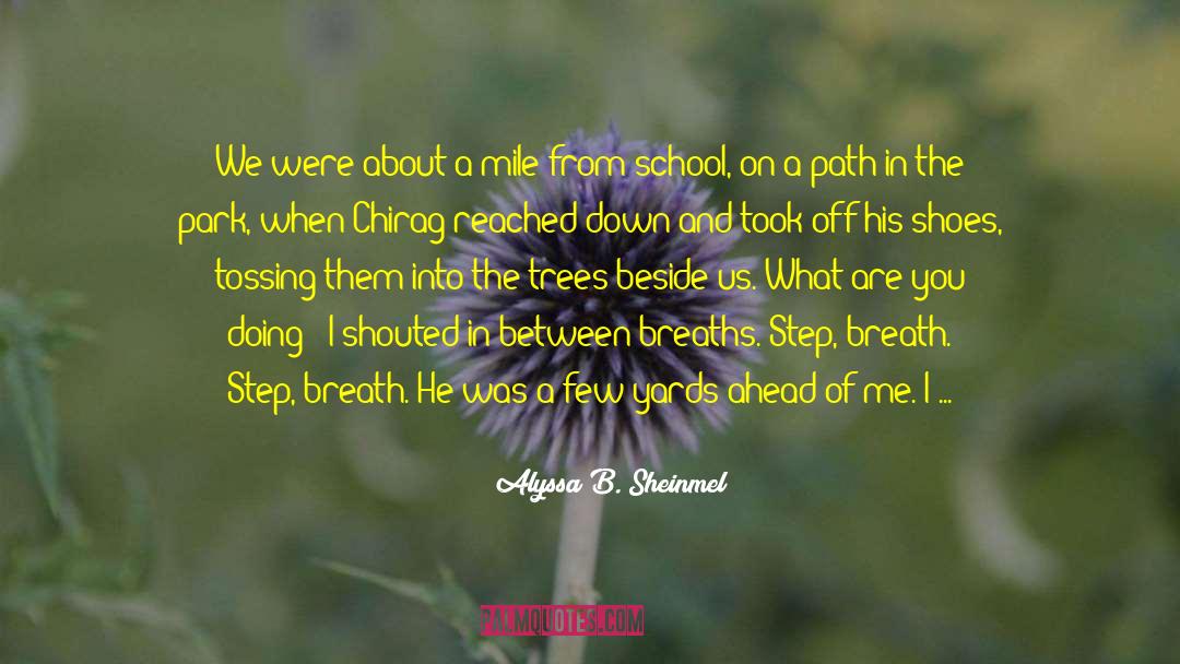 Light My Path quotes by Alyssa B. Sheinmel