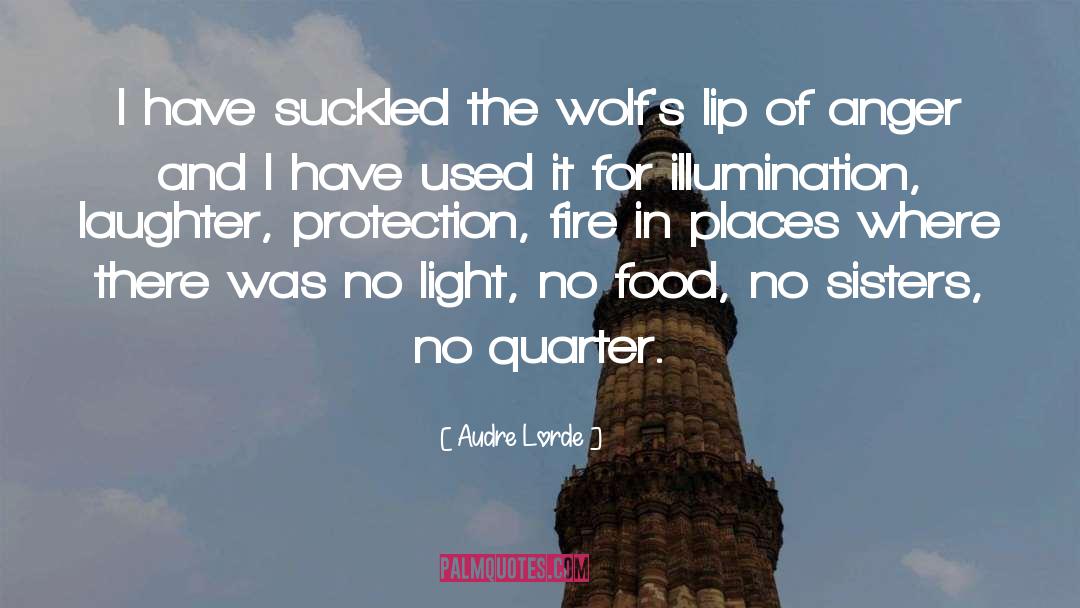 Light Protection quotes by Audre Lorde