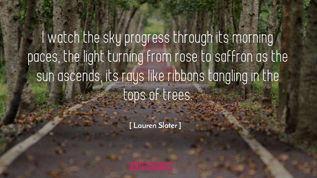 Light quotes by Lauren Slater