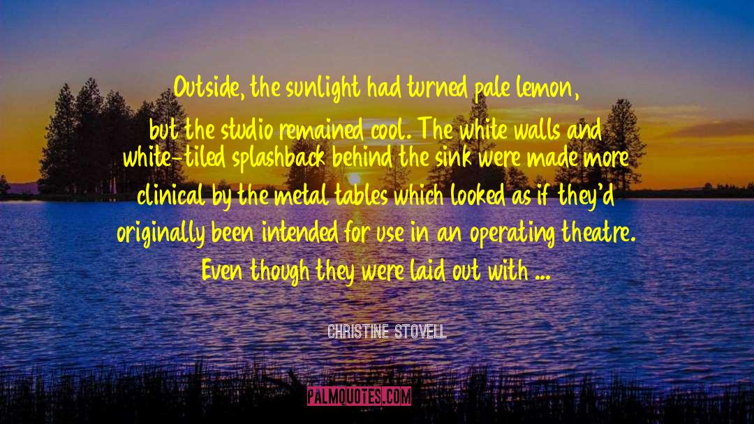 Light Romantic Comedy quotes by Christine Stovell