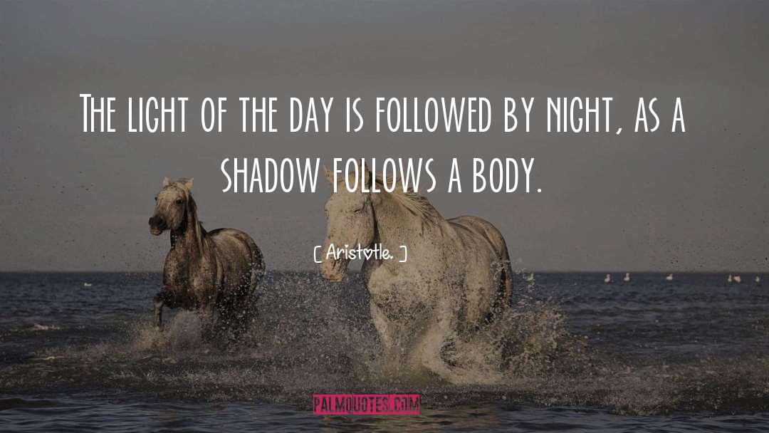 Light Shadow quotes by Aristotle.
