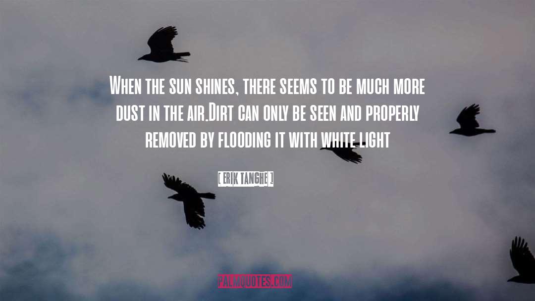 Light Shines quotes by Erik Tanghe