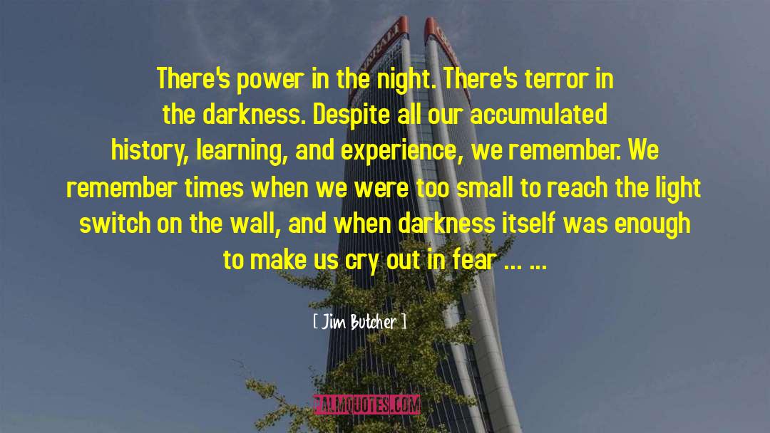 Light Switch quotes by Jim Butcher