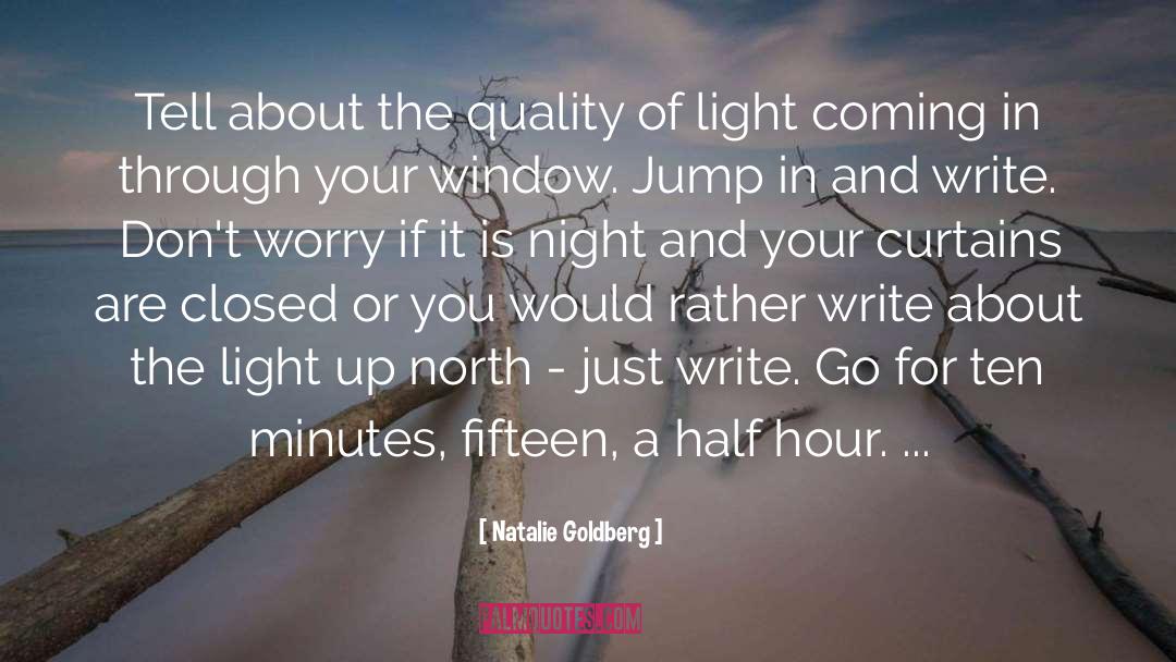 Light Up quotes by Natalie Goldberg