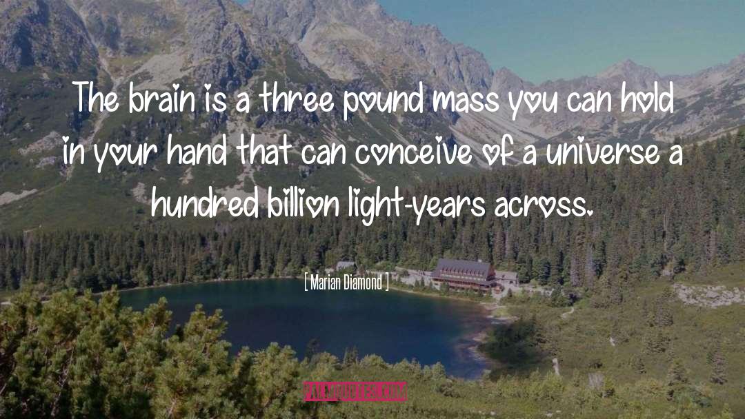 Light Years quotes by Marian Diamond