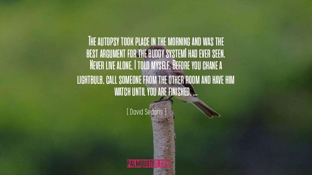 Lightbulb quotes by David Sedaris