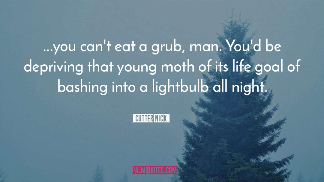 Lightbulb quotes by Cutter Nick