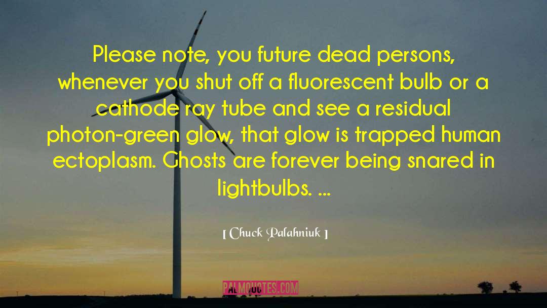 Lightbulbs quotes by Chuck Palahniuk