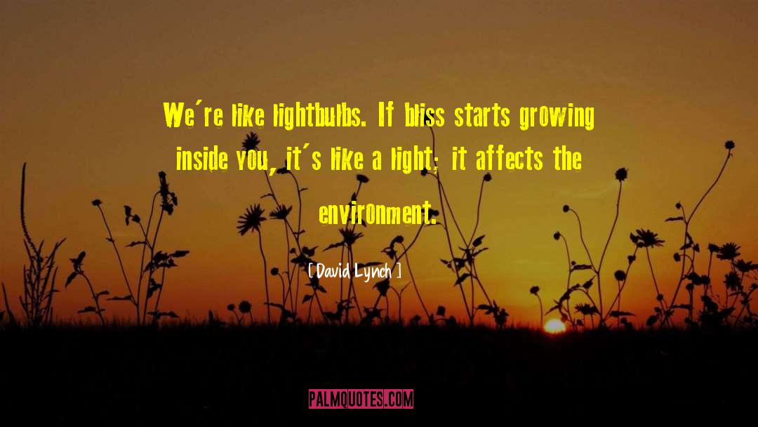 Lightbulbs quotes by David Lynch