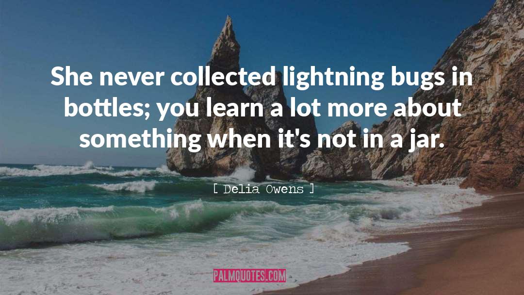 Lightening Bugs quotes by Delia Owens