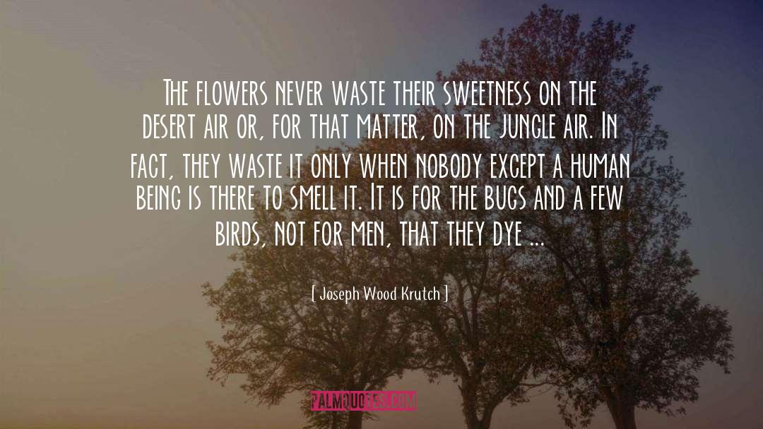 Lightening Bugs quotes by Joseph Wood Krutch