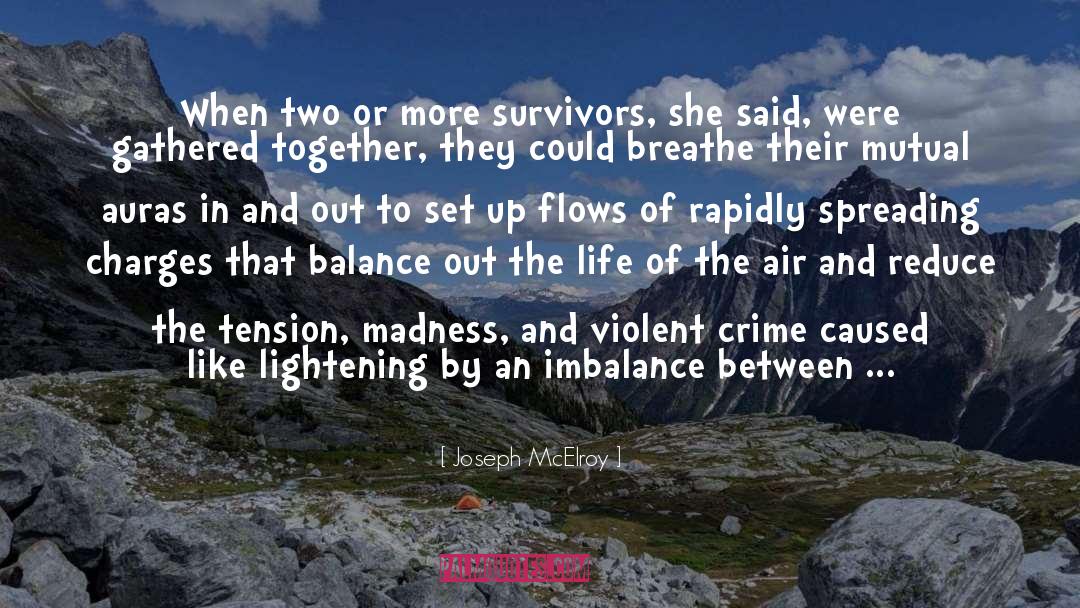 Lightening quotes by Joseph McElroy